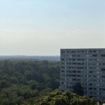 Blick von der Terrasse über den Grunewald