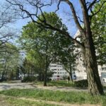 Einfahrt zur Tiefgarage