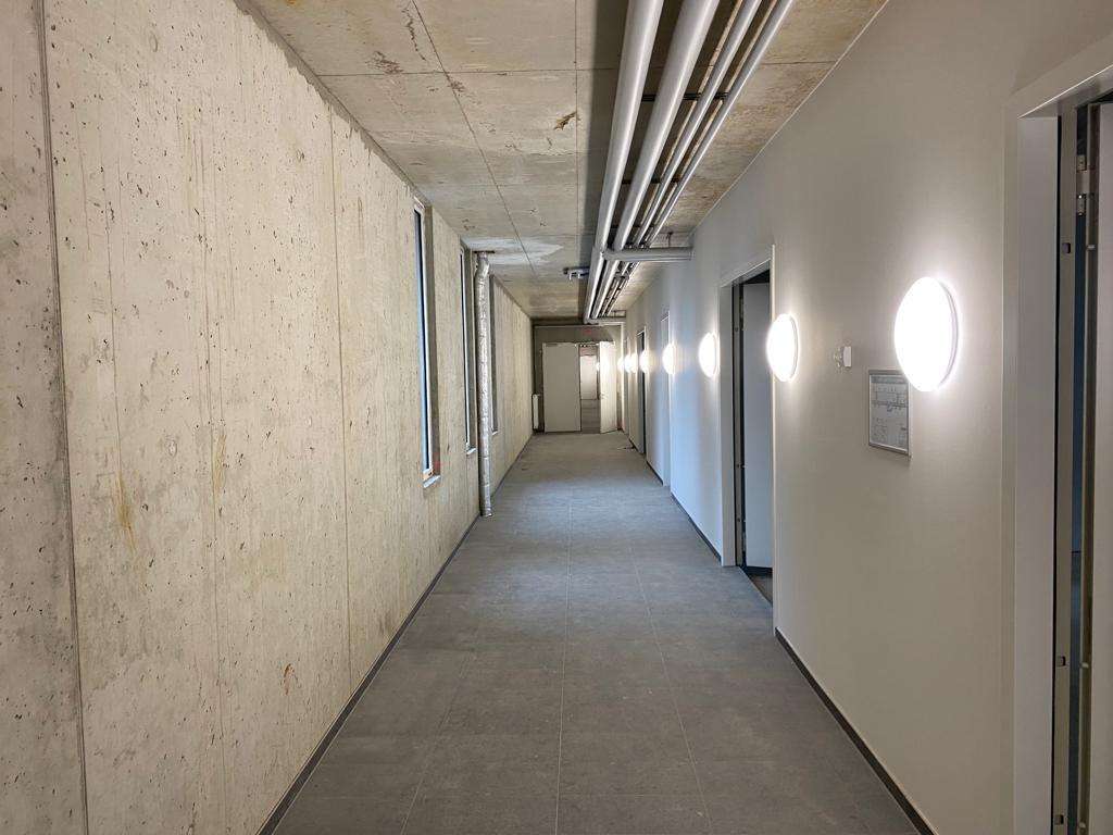 Gemeinschaftsflächen