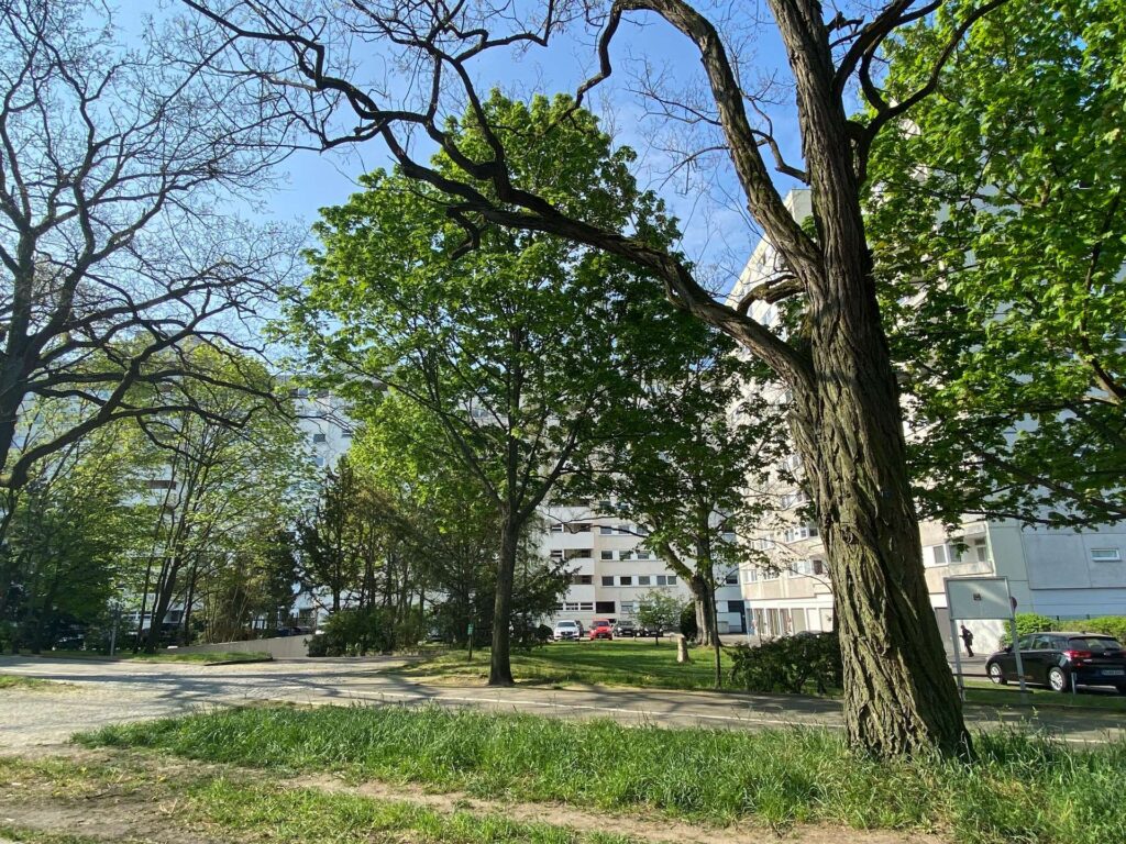 EinfahrtzurTiefgarage