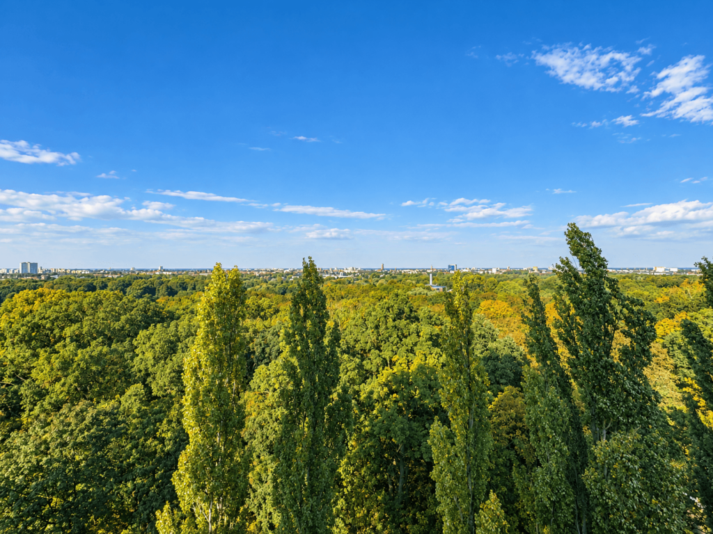 Waldlandschaft